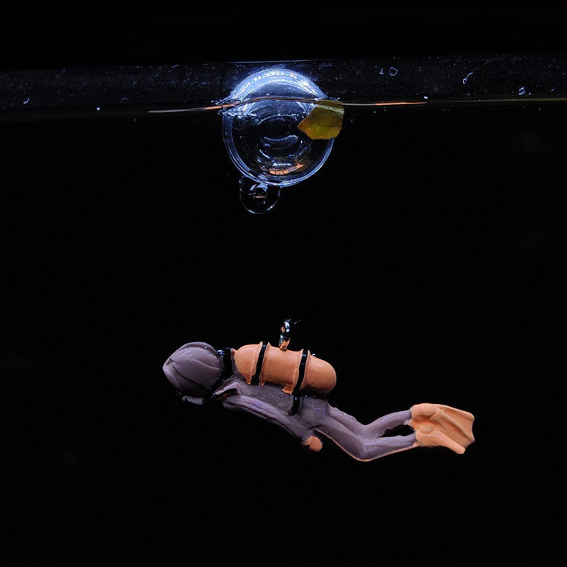 Home Aquarium tank accessories