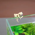 Floating Aquarium Decoration Ornament, Cute DOG Mini Fish Tank Landscape Accessories, Decorative Aquatic Tank Scenery