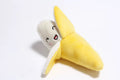Teeth Cleaning Custom Interactive Chew Dog Plush Toys Soft Pet Toy